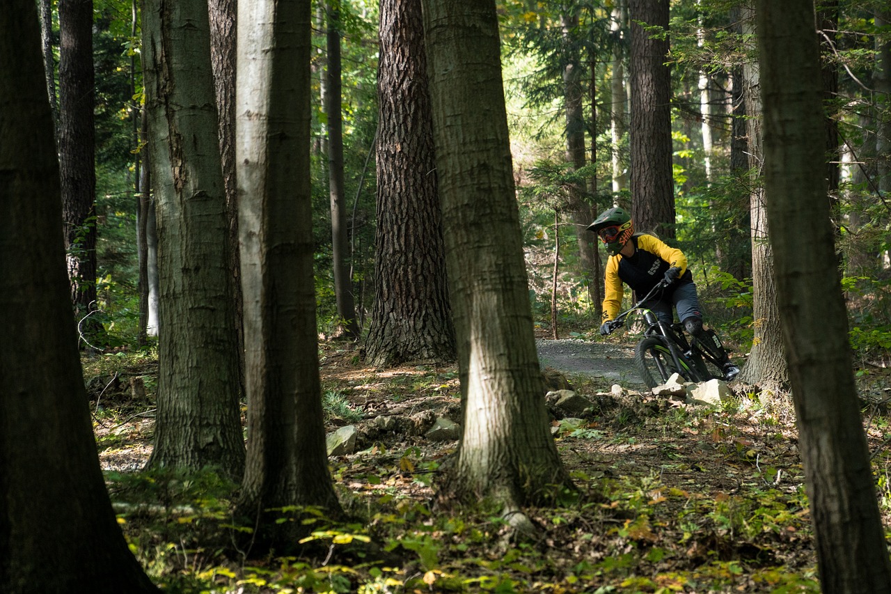 Rychlebske stezky jsou rajem pro cyklisty